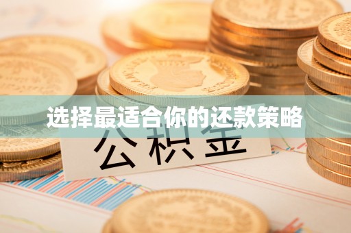 天峨选择最适合你的还款策略