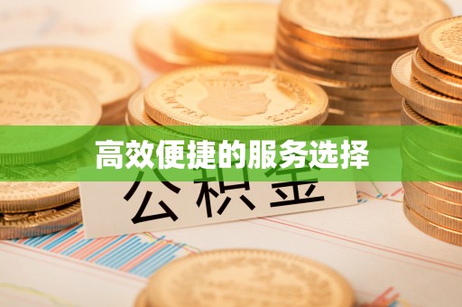 天峨高效便捷的服务选择
