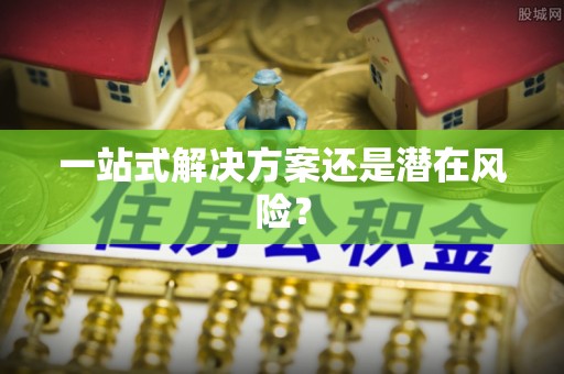 天峨一站式解决方案还是潜在风险？