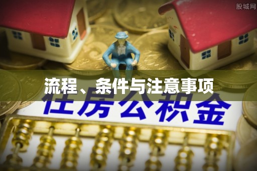 天峨流程、条件与注意事项